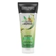 Champú reparador para cabellos dañados Detox+Repair, 250 ml, John Frieda