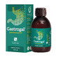 Gastrogal suspensi&#243;n oral, 200 ml, Planta Dacia