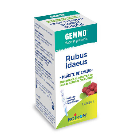 Extrakt aus dem Himbeersetzling Rubus Idaeus Gemmo, 60 ml, Boiron