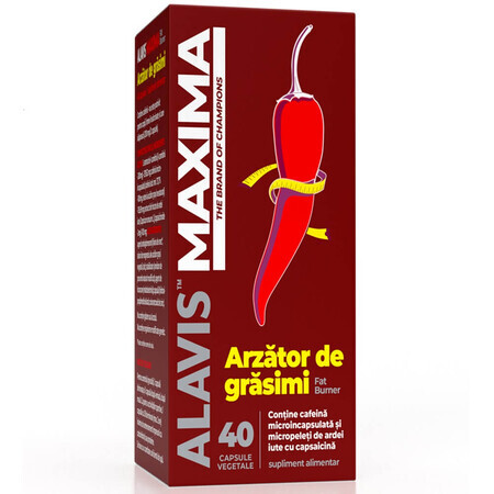 Quemagrasas, 40 cápsulas vegetales, Alavis Maxima