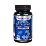 Ciupera de cerneala, 60 capsule, DVR Pharm