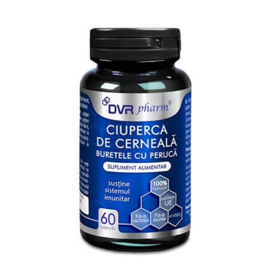 Ciupera de cerneala, 60 capsule, DVR Pharm