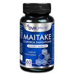 Maitake Paddenstoel Dancing, 60 capsules, DVR Pharm