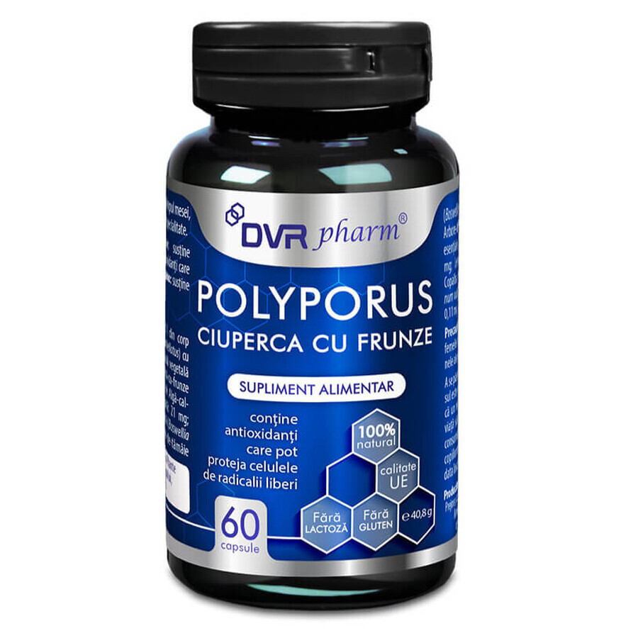 Polyporus paddenstoel met bladeren, 60 capsules, DVR Pharm