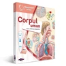 Carte interactiva (fără creion) , Corpul uman, Raspundel Istetel