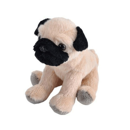 Peluche Pug Puppy, 13 cm, Wild Republic