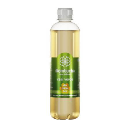 Bebida de té verde fermentado, 500 ml, iKombucha