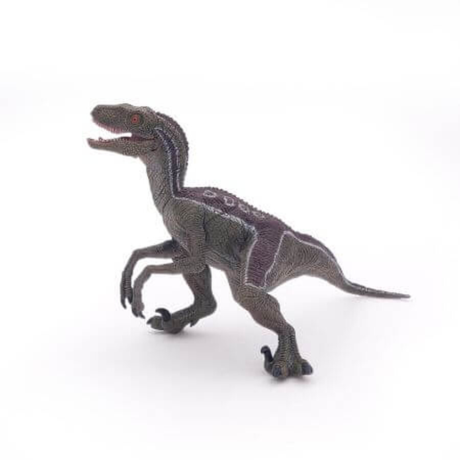 Figura de dinosaurio Velociraptor, +3 años, Papo