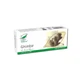 Ghimbir, 30 capsule, Pro Natura