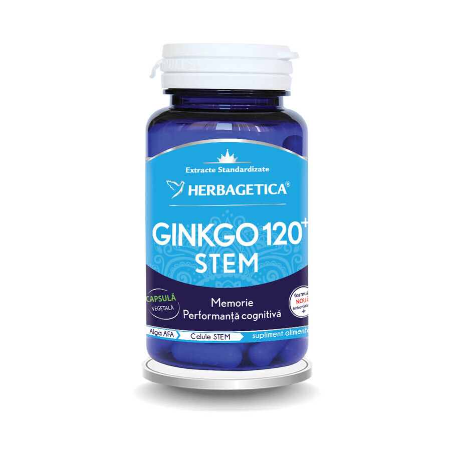 Ginkgo 120 Stem, 60 capsule, Herbagetica