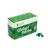 Ginkgo Biloba 40mg, 50 cápsulas, Remedia