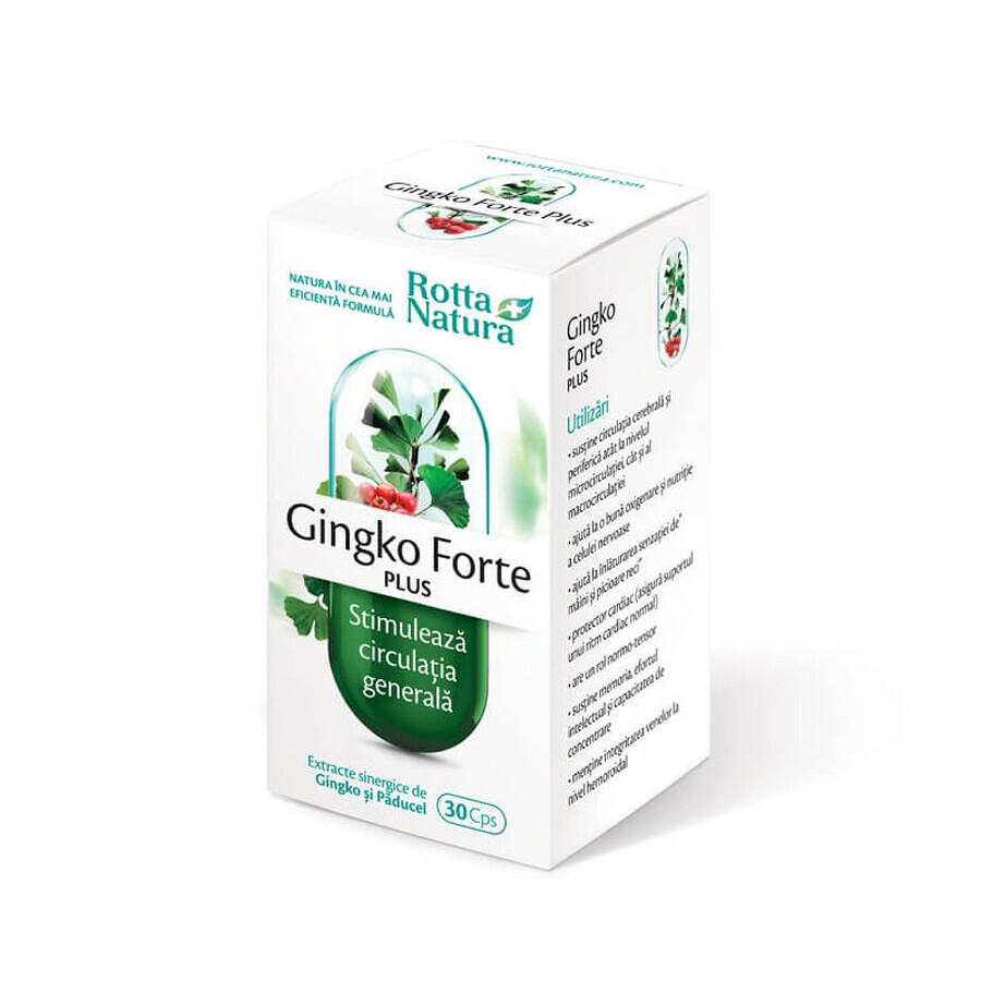 Ginkgo Forte Plus, 30 cápsulas, Rotta Natura