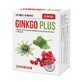 Ginkgo Plus, 30 c&#225;psulas, Parapharm