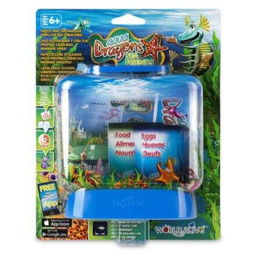 Stem Sea Friends Basic Lernset, Aqua Dragons