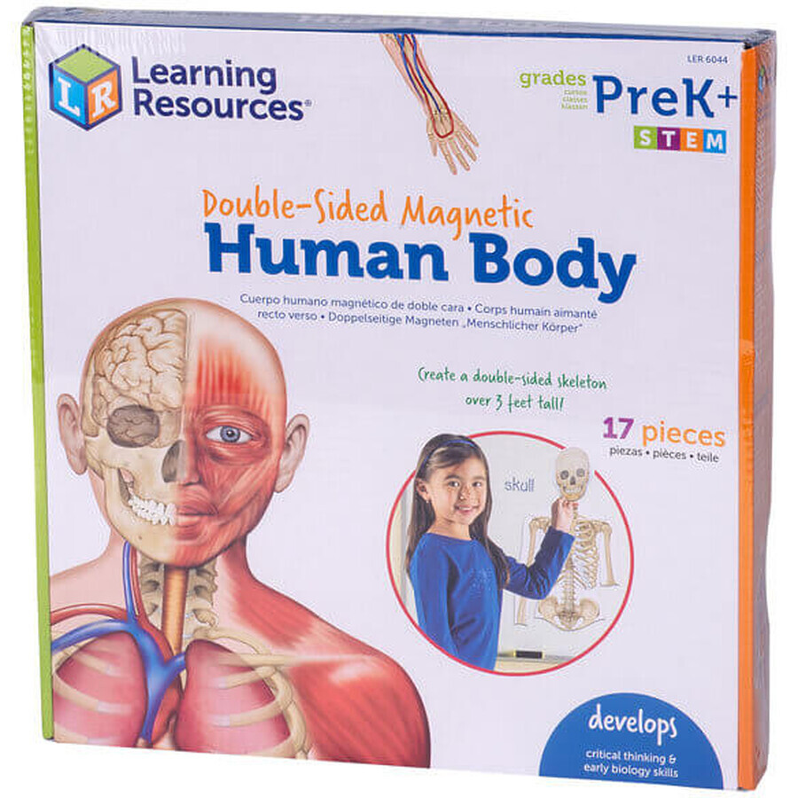 Set magnético del cuerpo humano, Recursos didácticos