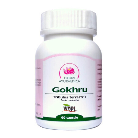 Gokhru, männliches Tonikum, 60 Kapseln, ayurvedisches Kraut