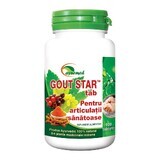 Gout Star, 100 comprimidos, Ayurmed