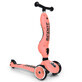 Patinete infantil convertible Highwaykick 2 en 1, 1 - 5 a&#241;os, Peach, Scoot &amp;amp; Ride