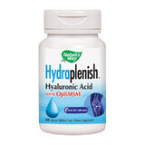 Hydraplenish Plus MSM Nature's Way, 60 cápsulas, Secom