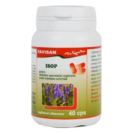 Isop, 40 capsule, Favisan