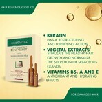 Kit Regeneración Capilar Gerovital Tratamiento Experto, 10 viales x 10 ml, 10 viales x 5 ml , Farmec