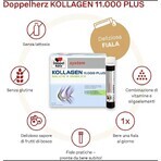 Kollagen 11.000 Plus, 10 viales unidosis, Doppelherz