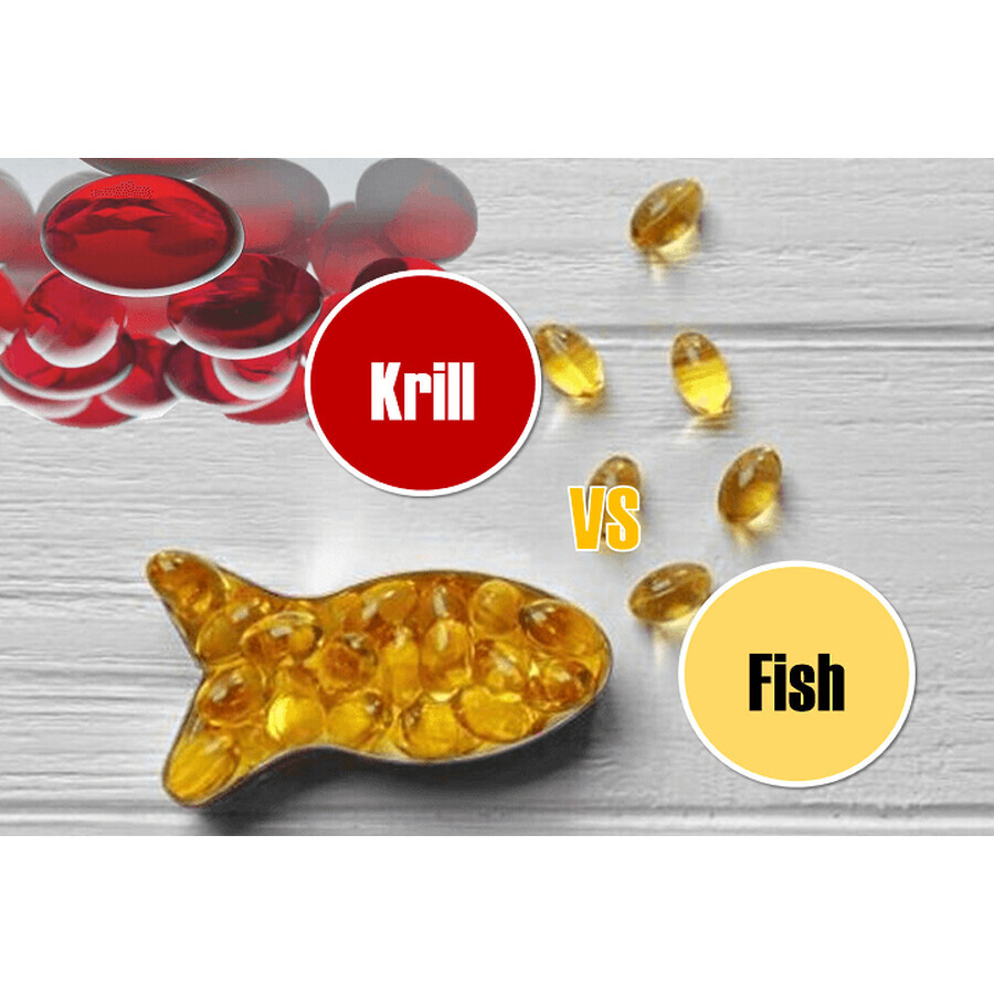 Korill aceite de krill puro 500 mg, 30 cápsulas, Sanience