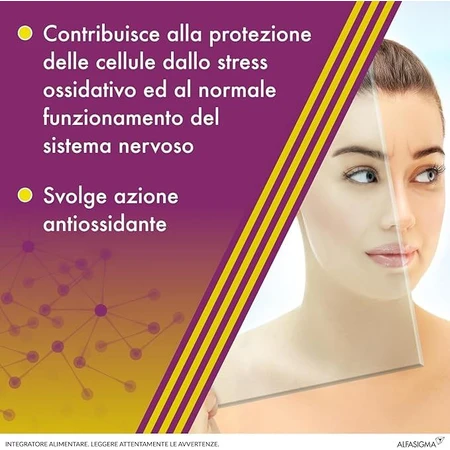 Alanerv, supliment alimentar pentru sistemul nervos, 20 capsule moi, Alfasigma
