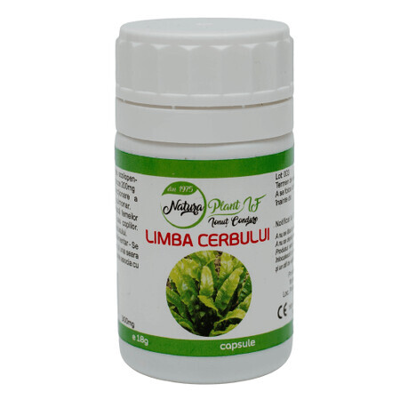 Lengua de ciervo 300 mg, 60 cápsulas, Natura Plant