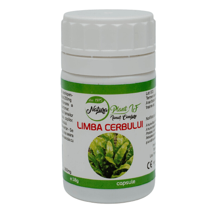 Lengua de ciervo 300 mg, 60 cápsulas, Natura Plant