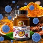 Lipozomales Curcumin 95%, 60 vegetarische Kapseln, Hypernatura