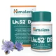 Himalaya