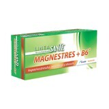 MagneStress + B6, 40 comprimidos, Terapia