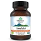 Amalaki Vitamina C y Antioxidantes Naturales, 60 cápsulas, Bio India