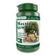 Mastic Gum, 60 capsules, Pro Natura