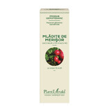 Brotes de Arándano Rojo, 15 ml, Plant Extrakt