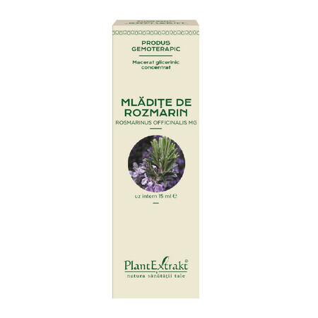 Romarin Marjolaine, 15 ml, Plant Extrakt