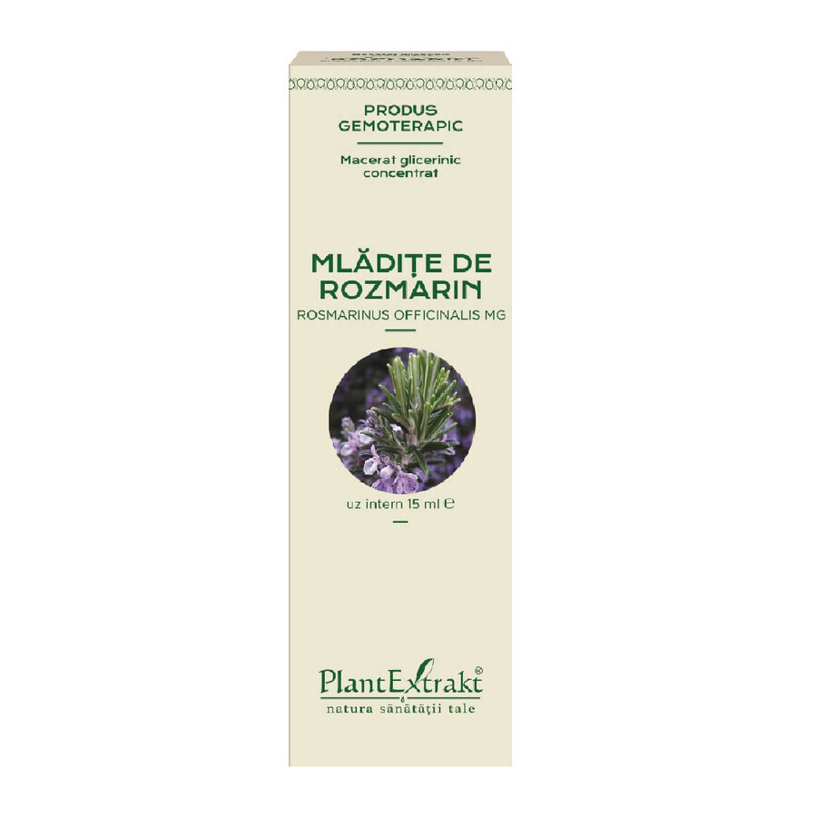 Mlădite de Rozmarin, 15 ml, Plant Extrakt