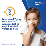 Muconasal spray 1,18 mg, 10 ml, spray nasal, solución, Sanofi