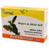 Brotes de abeto blanco Gemoderivat, 30 dosis, Hofigal