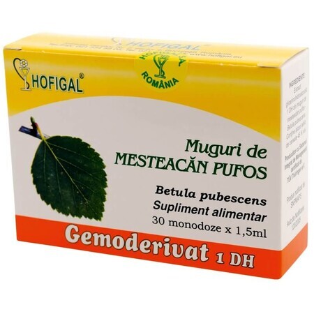 Bourgeons de molène, 30 doses, Hofigal