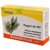 Bourgeons de pin Gemoderivat, 30 unidoses, Hofigal