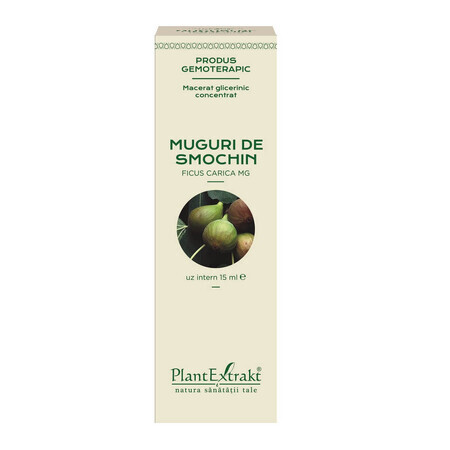 Bourgeons de figuier, 15 ml, Plant Extrakt