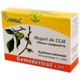 Ulm Bud Gemoderivat, 30 monodosis, Hofigal