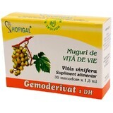 Brotes de vid Gemoderivat, 30 monodosis, Hofigal