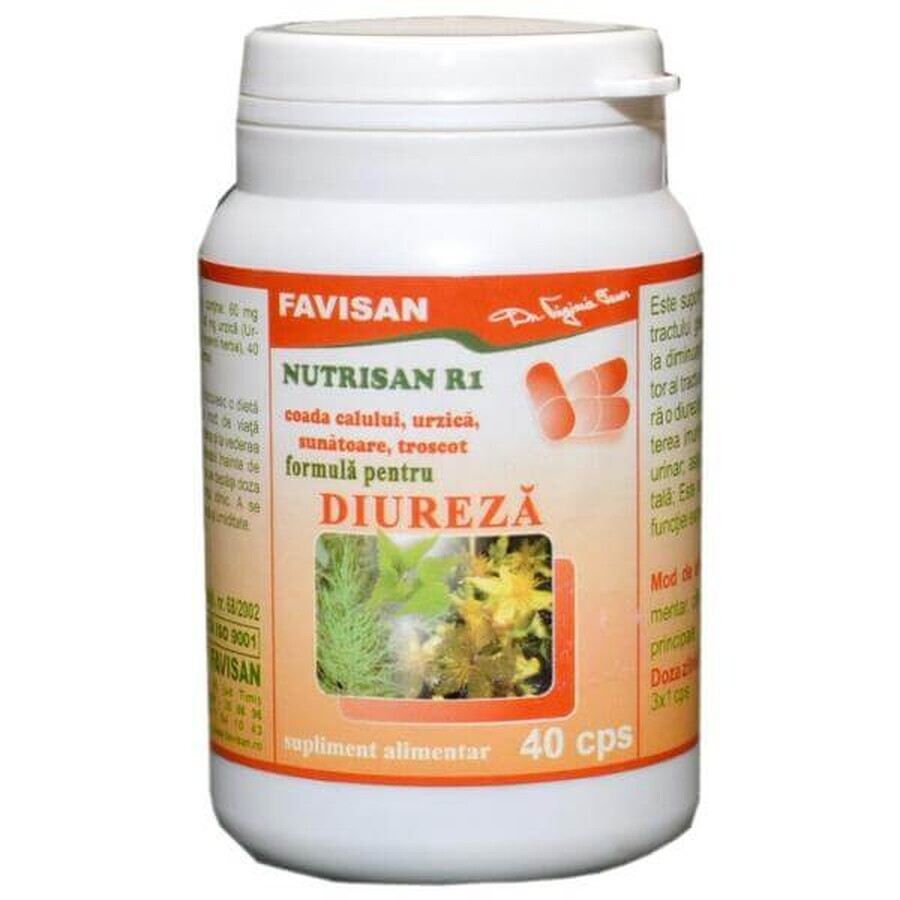 Nutrisan R1, 40 cápsulas, Favisan