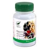 Opuntia, Chitosan et Fibrulline, 60 gélules, Pro Natura