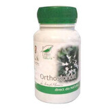 Orthosiphon, 60 gélules, Pro Natura