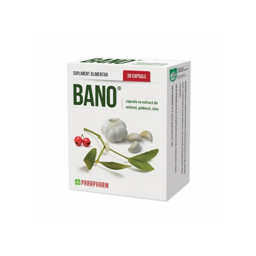 Bano pack con extracto de Ajo con Espino Blanco y Muérdago, 30 cápsulas (2+1), Parapharm