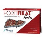 Verpakking Fortifikat Forte 825 mg, 30+30 capsules, Therapie